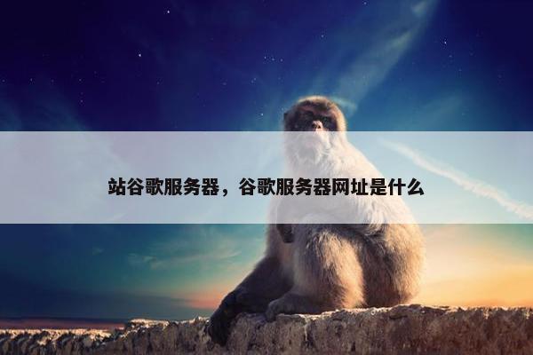 站谷歌服务器，谷歌服务器网址是什么