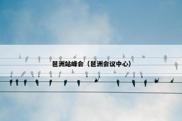 琶洲站峰会（琶洲会议中心）