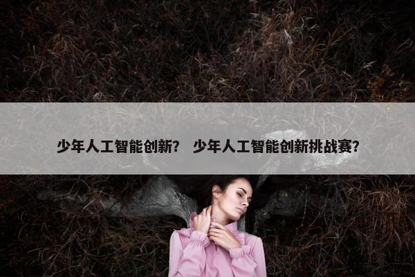 少年人工智能创新？ 少年人工智能创新挑战赛？