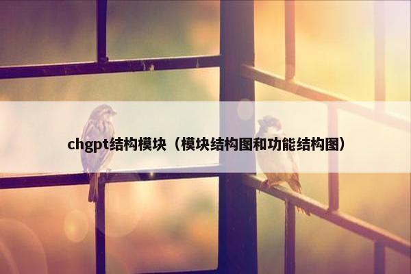 chgpt结构模块（模块结构图和功能结构图）