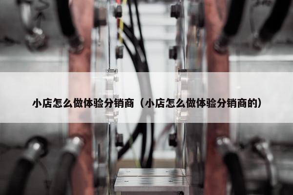 小店怎么做体验分销商（小店怎么做体验分销商的）