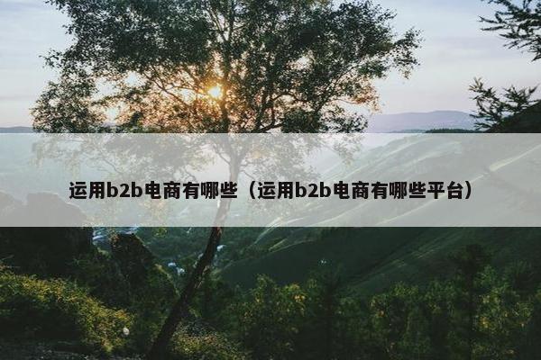 运用b2b电商有哪些（运用b2b电商有哪些平台）