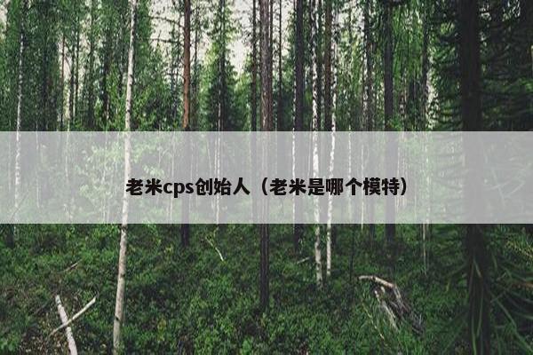 老米cps创始人（老米是哪个模特）