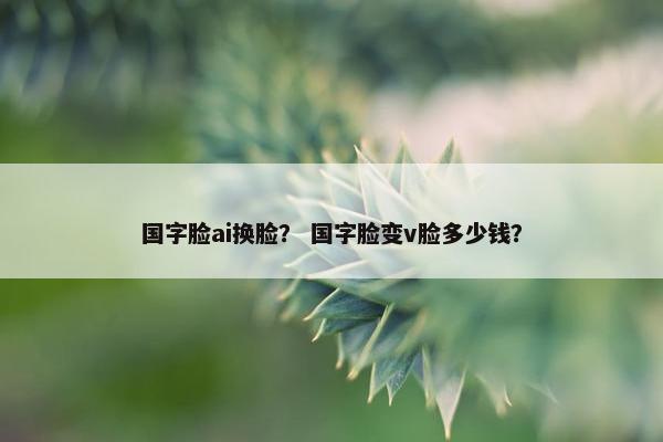 国字脸ai换脸？ 国字脸变v脸多少钱？