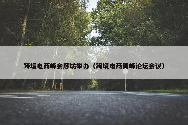 跨境电商峰会廊坊举办（跨境电商高峰论坛会议）
