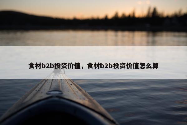 食材b2b投资价值，食材b2b投资价值怎么算