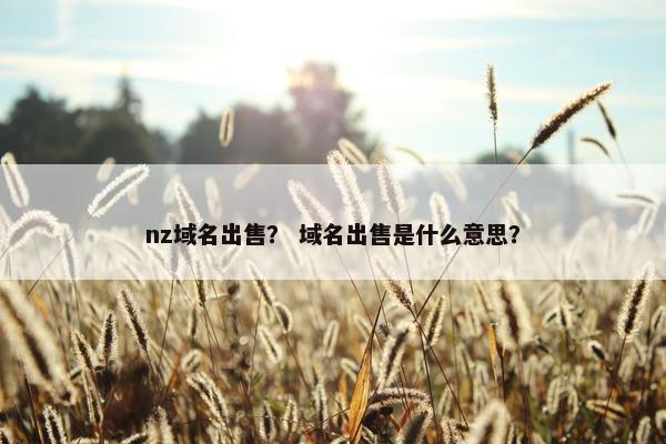 nz域名出售？ 域名出售是什么意思？