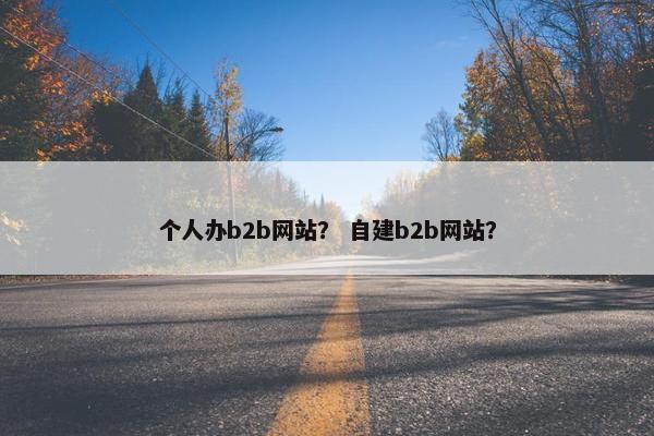 个人办b2b网站？ 自建b2b网站？