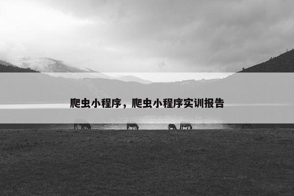 爬虫小程序，爬虫小程序实训报告