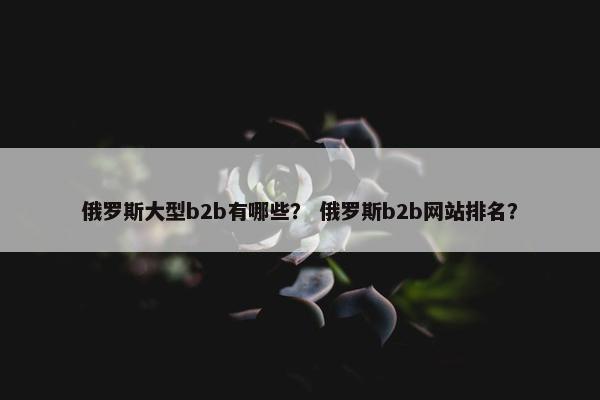 俄罗斯大型b2b有哪些？ 俄罗斯b2b网站排名？