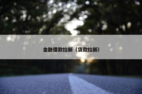 金融借款拉新（贷款拉新）