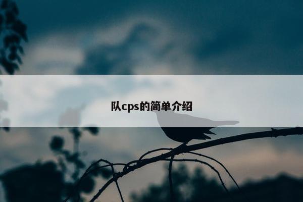 队cps的简单介绍