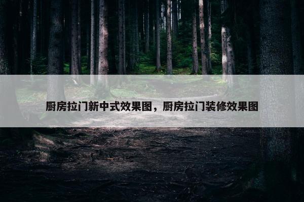 厨房拉门新中式效果图，厨房拉门装修效果图