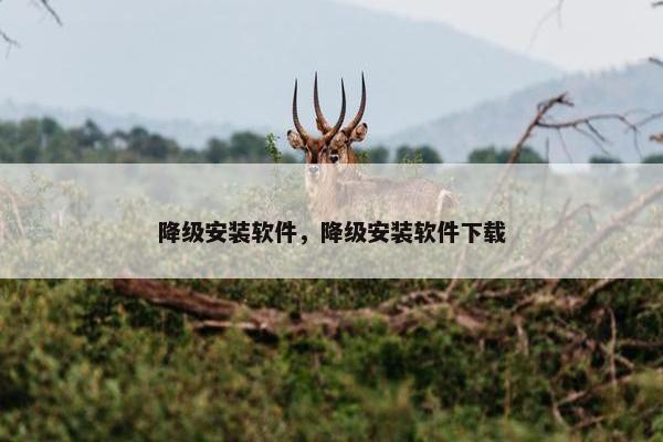 降级安装软件,降级安装软件下载 降级安装软件,降级安装软件下载
