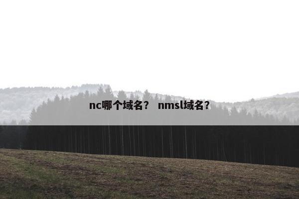 nc哪个域名？ nmsl域名？
