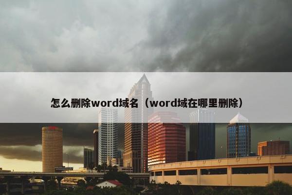 怎么删除word域名（word域在哪里删除）