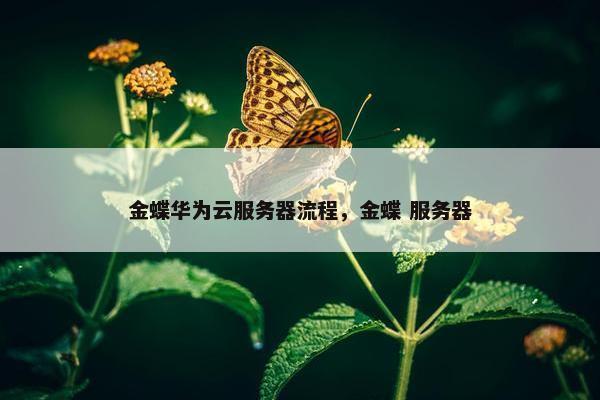 金蝶华为云服务器流程，金蝶 服务器