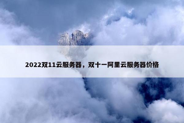 2022双11云服务器，双十一阿里云服务器价格