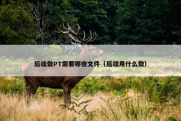 后端做PT需要哪些文件（后端用什么做）