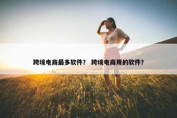 跨境电商最多软件？ 跨境电商用的软件？