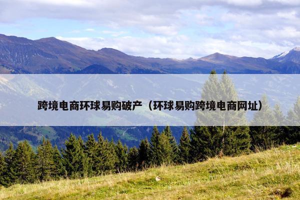 跨境电商环球易购破产（环球易购跨境电商网址）