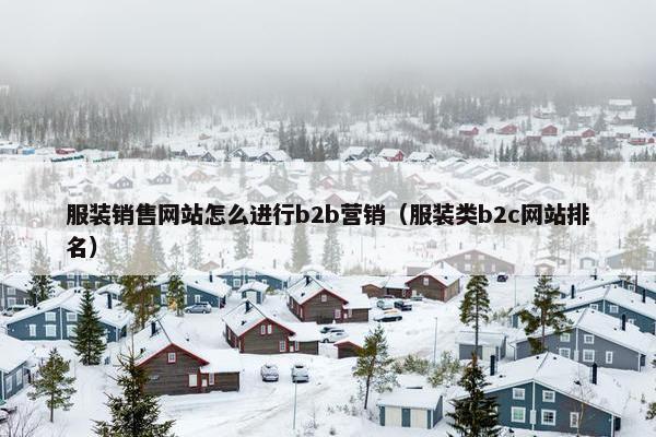 服装销售网站怎么进行b2b营销（服装类b2c网站排名）