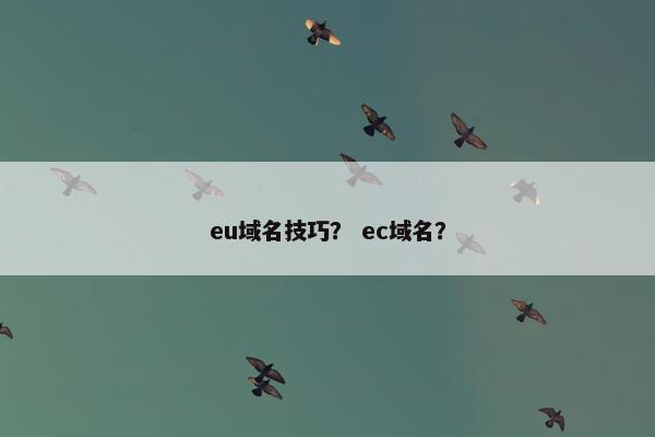 eu域名技巧？ ec域名？