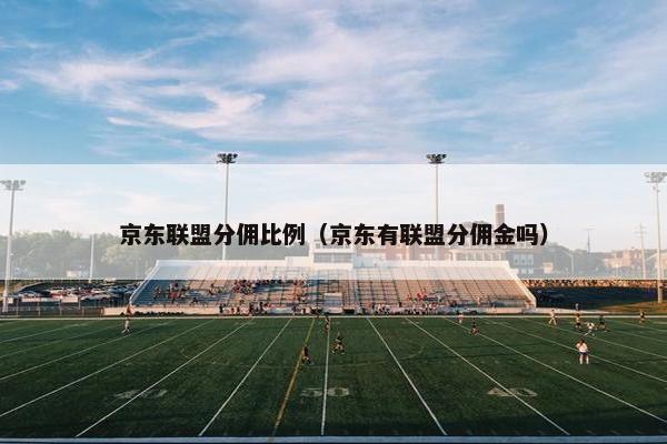 京东联盟分佣比例（京东有联盟分佣金吗）