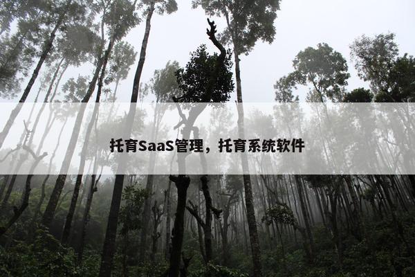 托育SaaS管理，托育系统软件