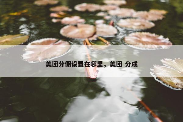 美团分佣设置在哪里，美团 分成