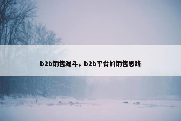 b2b销售漏斗，b2b平台的销售思路