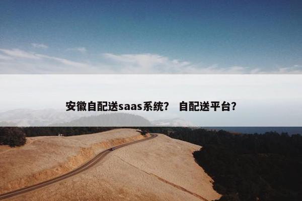 安徽自配送saas系统？ 自配送平台？