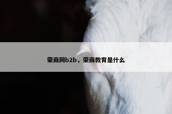 荣商网b2b,荣商教育是什么 荣商网b2b,荣商教育是什么