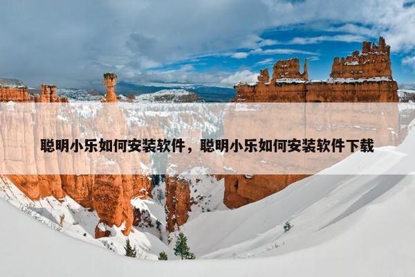 聪明小乐如何安装软件，聪明小乐如何安装软件下载