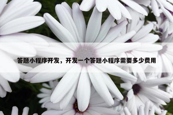 答题小程序开发，开发一个答题小程序需要多少费用