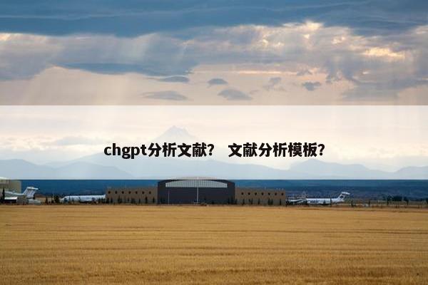 chgpt分析文献? 文献分析模板? chgpt分析文献? 文献分析模板?