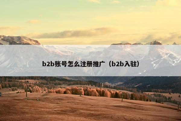 b2b账号怎么注册推广（b2b入驻）