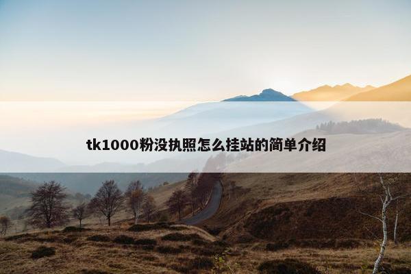 tk1000粉没执照怎么挂站的简单介绍