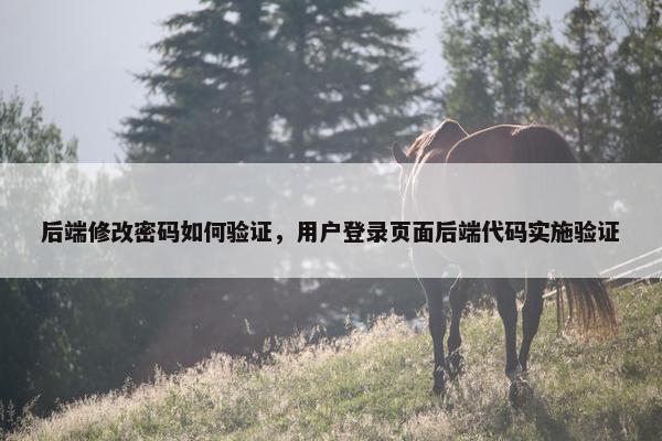 后端修改密码如何验证，用户登录页面后端代码实施验证