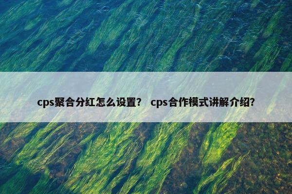 cps聚合分红怎么设置？ cps合作模式讲解介绍？