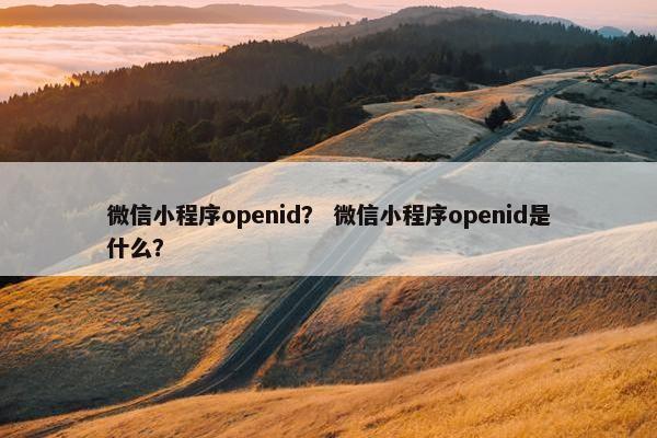 微信小程序openid？ 微信小程序openid是什么？