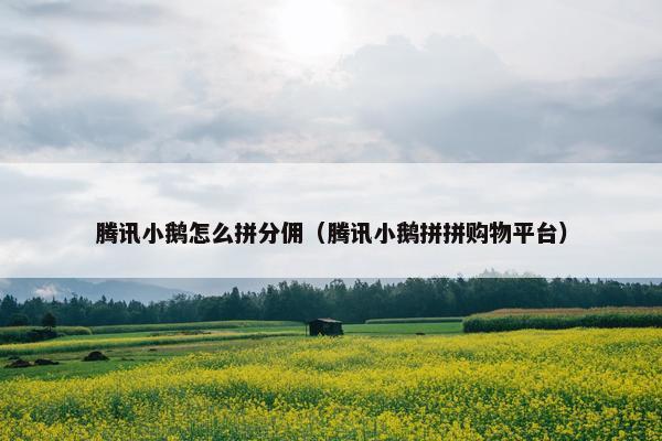 腾讯小鹅怎么拼分佣(腾讯小鹅拼拼购物平台) 腾讯小鹅怎么拼分佣(腾讯小鹅拼拼购物平台)