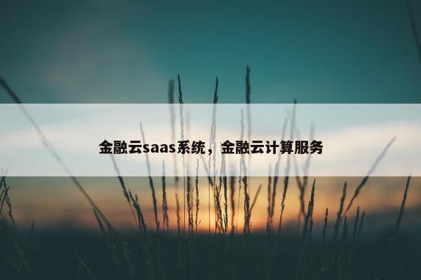 金融云saas系统，金融云计算服务