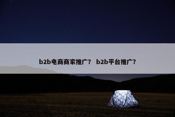 b2b电商商家推广？ b2b平台推广？