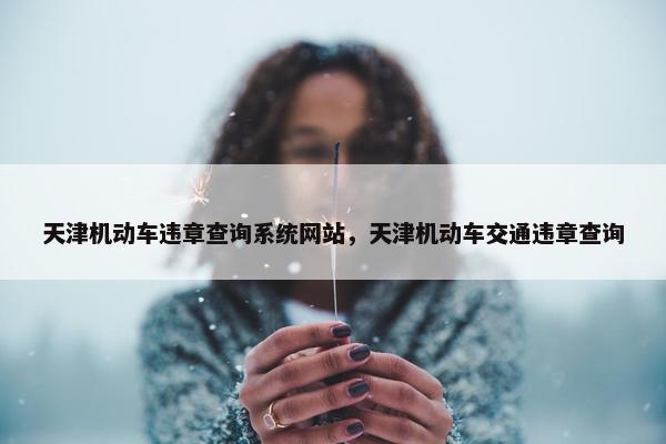 天津机动车违章查询系统网站，天津机动车交通违章查询