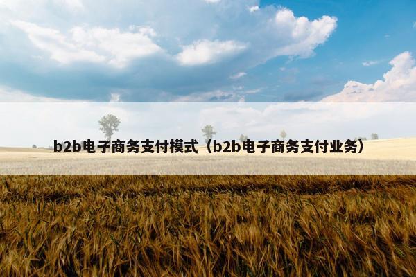 b2b电子商务支付模式（b2b电子商务支付业务）
