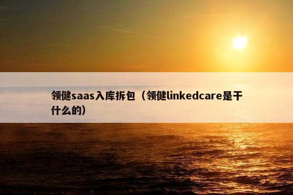 领健saas入库拆包（领健linkedcare是干什么的）