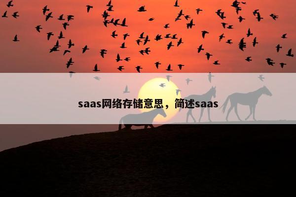 saas网络存储意思，简述saas