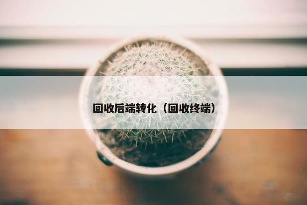回收后端转化（回收终端）