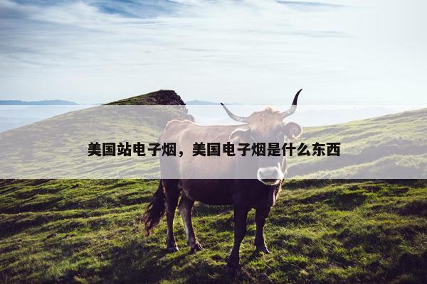 美国站电子烟,美国电子烟是什么东西